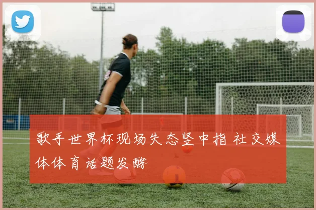 歌手世界杯现场失态竖中指 社交媒体体育话题发酵