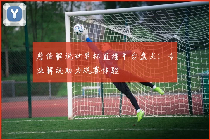 詹俊解说世界杯直播平台盘点：专业解说助力观赛体验