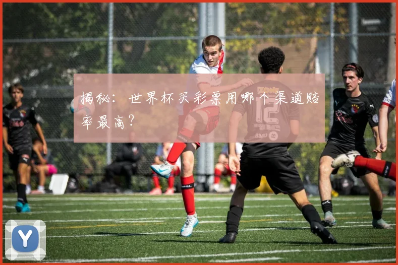 揭秘：世界杯买彩票用哪个渠道赔率最高？