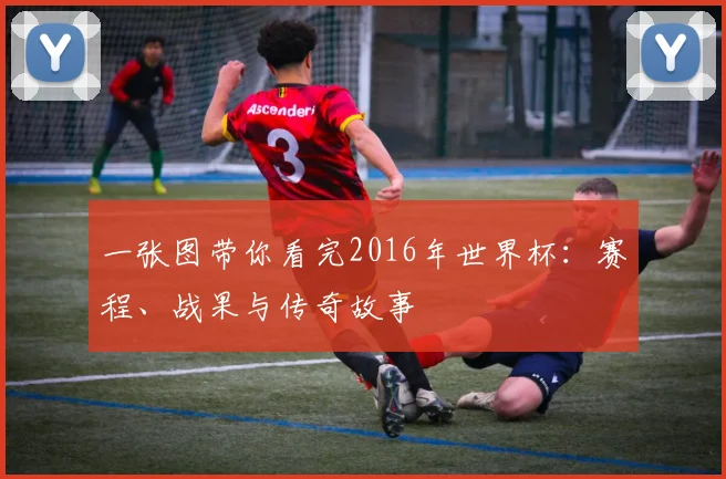 一张图带你看完2016年世界杯:赛程、战果与传奇故事