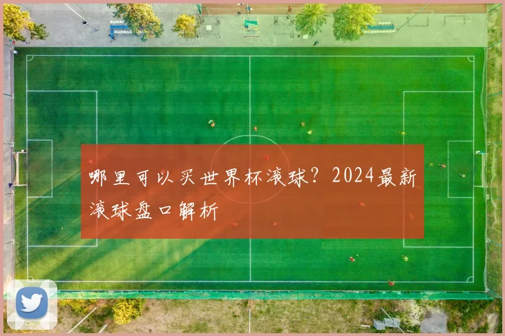 哪里可以买世界杯滚球?2024最新滚球盘口解析