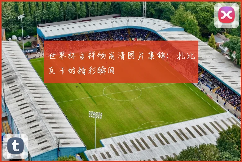 世界杯吉祥物高清图片集锦:扎比瓦卡的精彩瞬间
