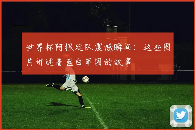 世界杯阿根廷队震撼瞬间：这些图片讲述着蓝白军团的故事