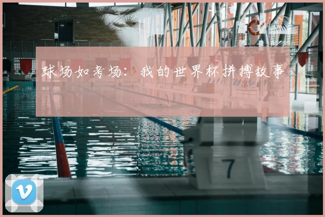 球场如考场：我的世界杯拼搏故事