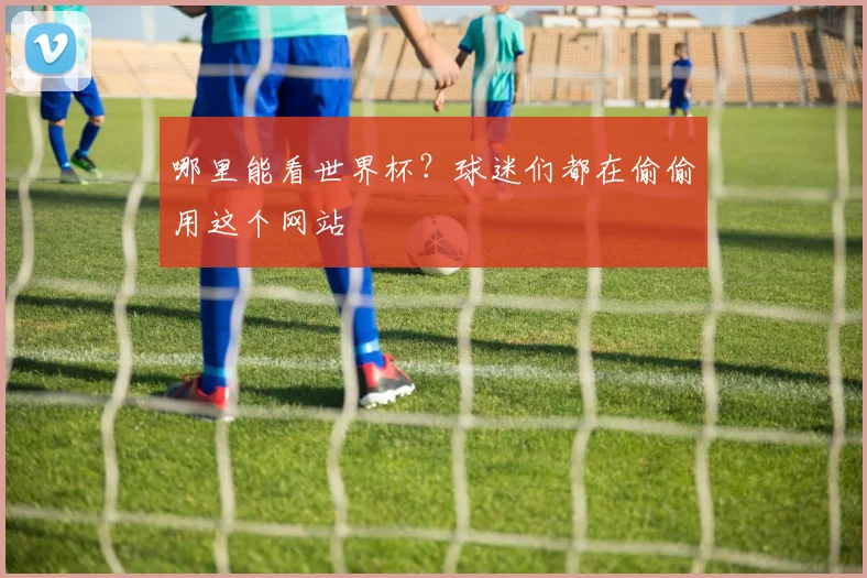 哪里能看世界杯？球迷们都在偷偷用这个网站