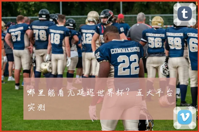 哪里能看无延迟世界杯？五大平台实测