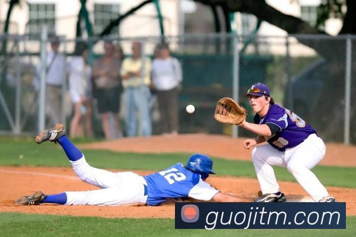 App Interface Preview